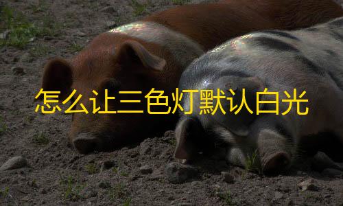 三角洲行动透视模式怎么让三色灯默认白光